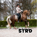 ST Riding Academy