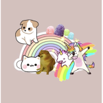 ѕкιттℓєѕ