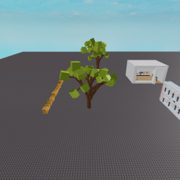 Clothing Store
