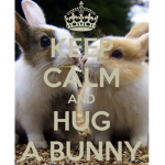 Benny and the bunnies