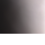 D dbbx