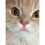 Bahz