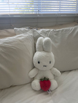 Da Strawberry Bunny Group