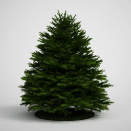 The Evergreen Forest icon