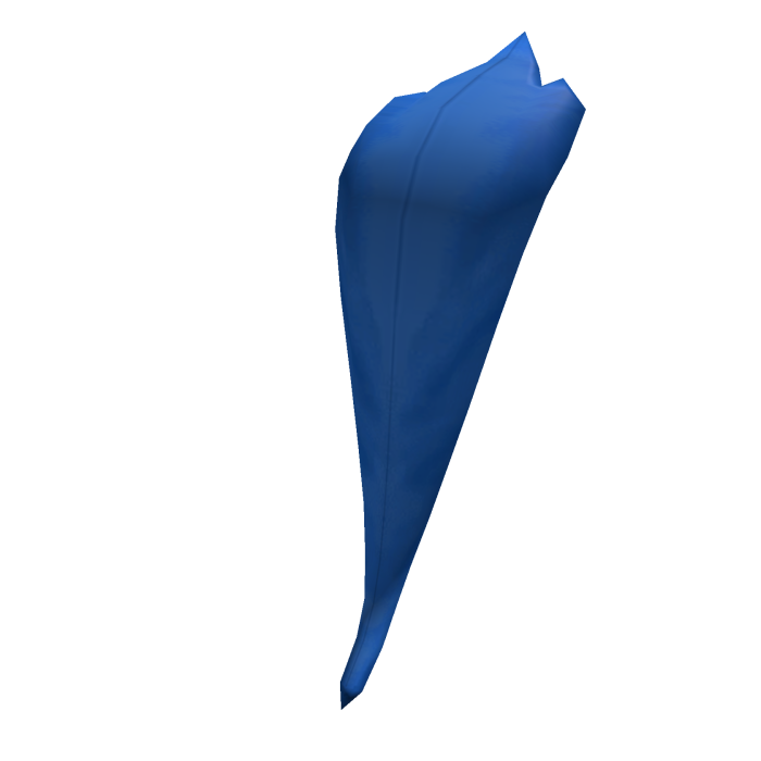 Road Runner Tail
