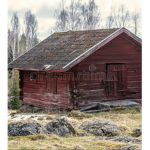 Poor Cabin Friends!