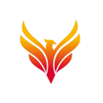 Phoenix HomeStore Inc