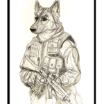 BLAZER WOLVES