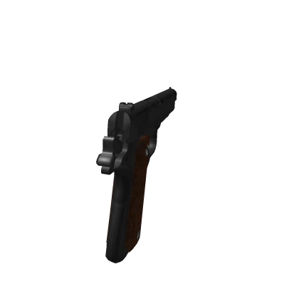 Pistol/M1911A1 R15 gun