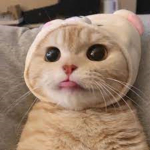 마앙