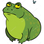 The Tragic Toads