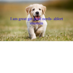 i is great