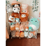 Squishmallowqueen