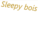 sl33py bois