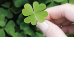 Lucky lucky you!