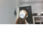 TEAM MONKEY FOREVER1