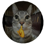 Mewing Cat Mask