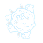 Snowball Chomik