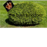 Kingdom of Bush