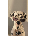 Mimamamumu