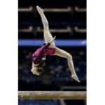 Gymnastics fan flip