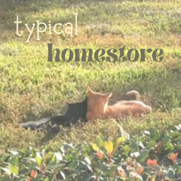 typical homestore !