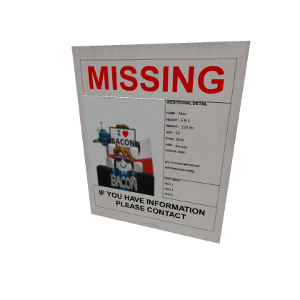Missing poster