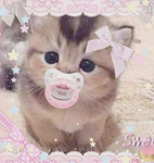 Kitty fanz >_<