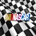 Robloxian Nascar series