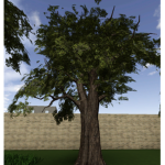 The Lonely Trees