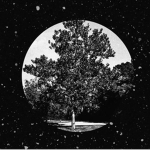 Moonlights Hangout