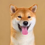Doge members clan