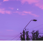 just a purple sky