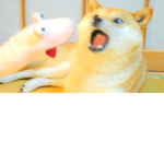 강아지와닝겐들