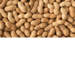 Official Peanut Squad