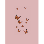 Hii_5846
