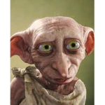 Dobby's army