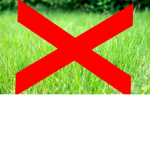 ANTI-GRASS TEAM