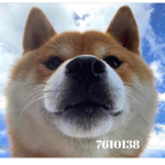 AnimLove