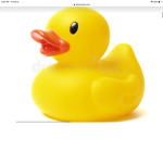 Rubber duckies toys
