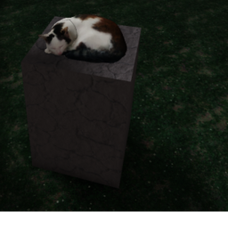 Dont pet prospects cat