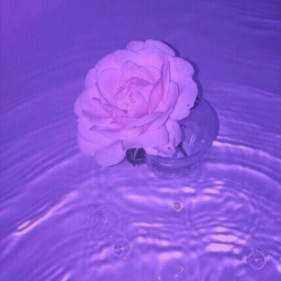 𝒾𝒻 𝓉𝒽𝑒𝓇𝑒