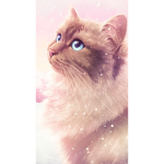Kitty Kitty YES