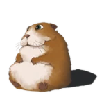 Bean Bag Chomik