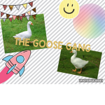 Goose Gang!!!