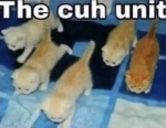C.U.H Unit
