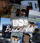 {BSGz} BlickSumGng #NEL