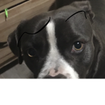 FREE BOBUX me cool