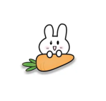 Radish Rabbit Studio