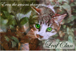 LeayfClan